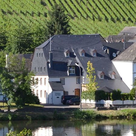 Haart & Soul Guesthouse Piesport Exterior foto