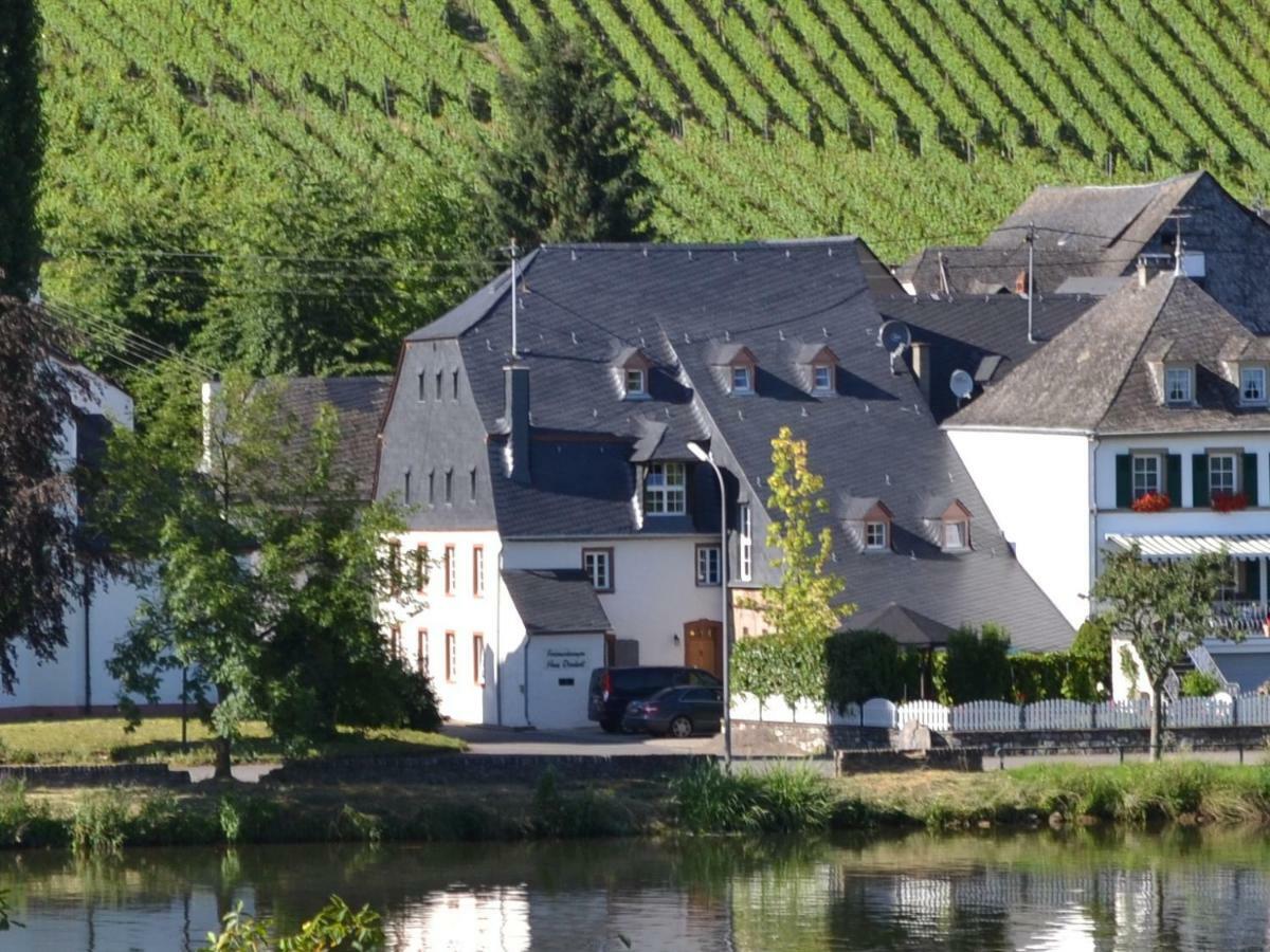 Haart & Soul Guesthouse Piesport Exterior foto